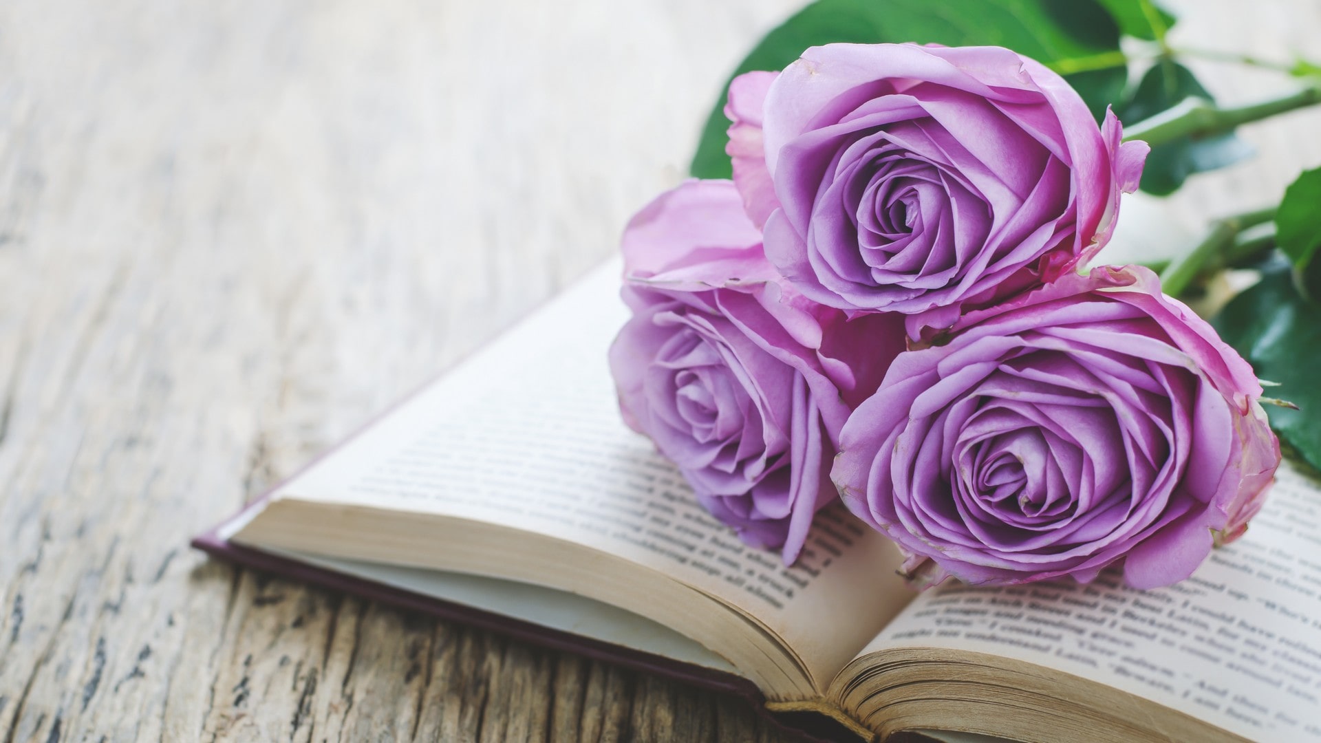 Ist akademisches Ghostwriting legal oder illegal