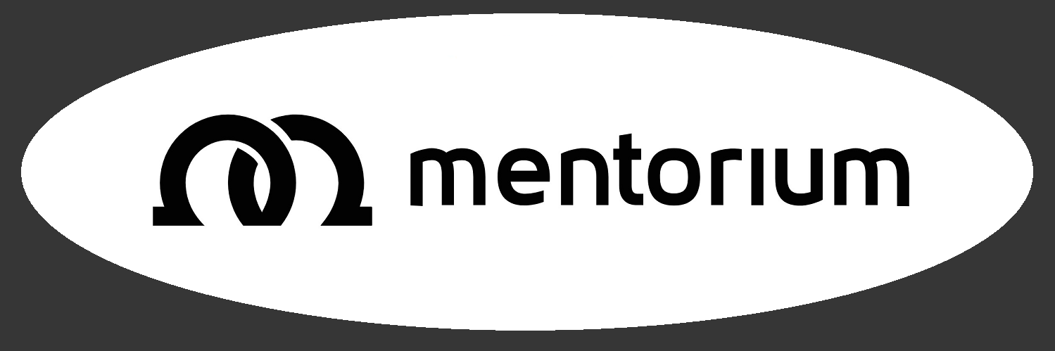 Mentorium Erfahrungen